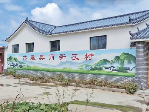 东阿镇苏山头村：五年蝶变绘就乡村振兴新图景