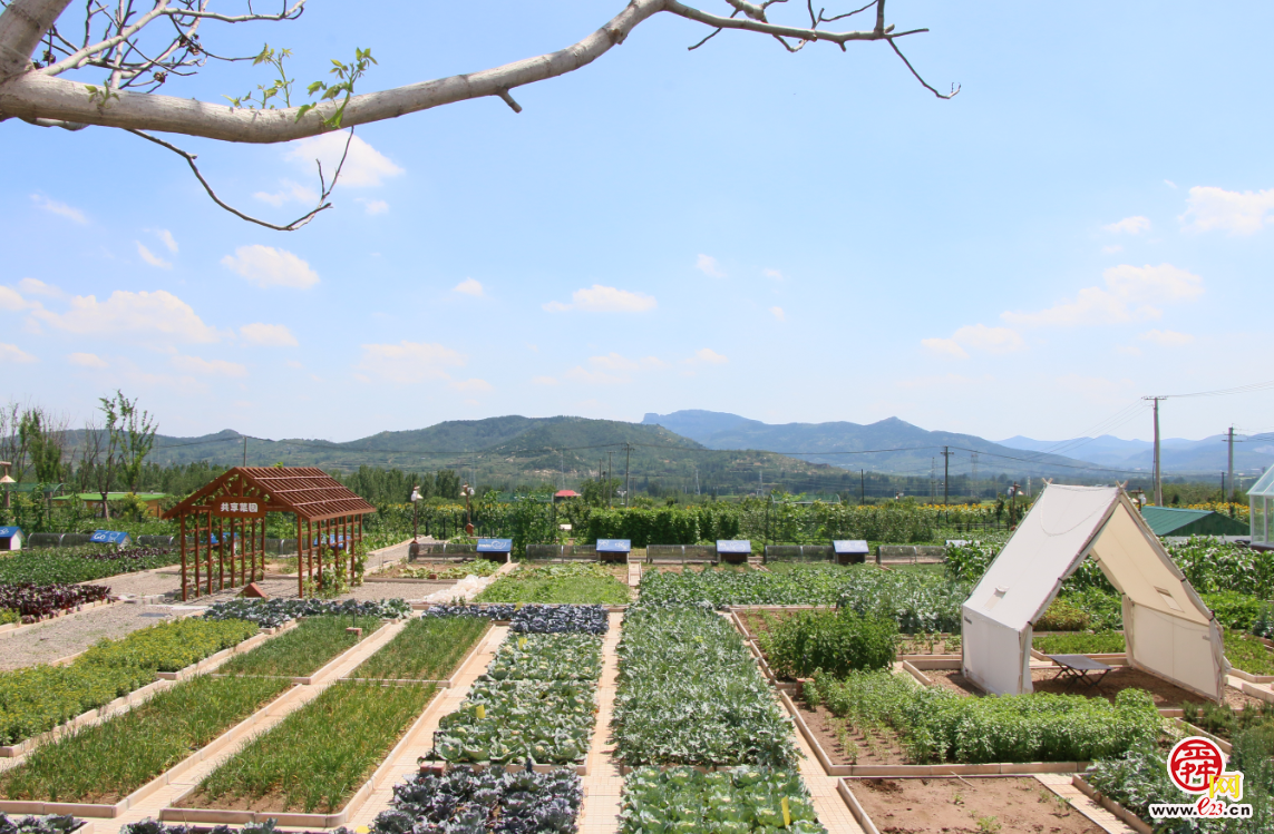 融媒·见证丨“原乡人、返乡人、新乡人”各展所长——沃野引才来