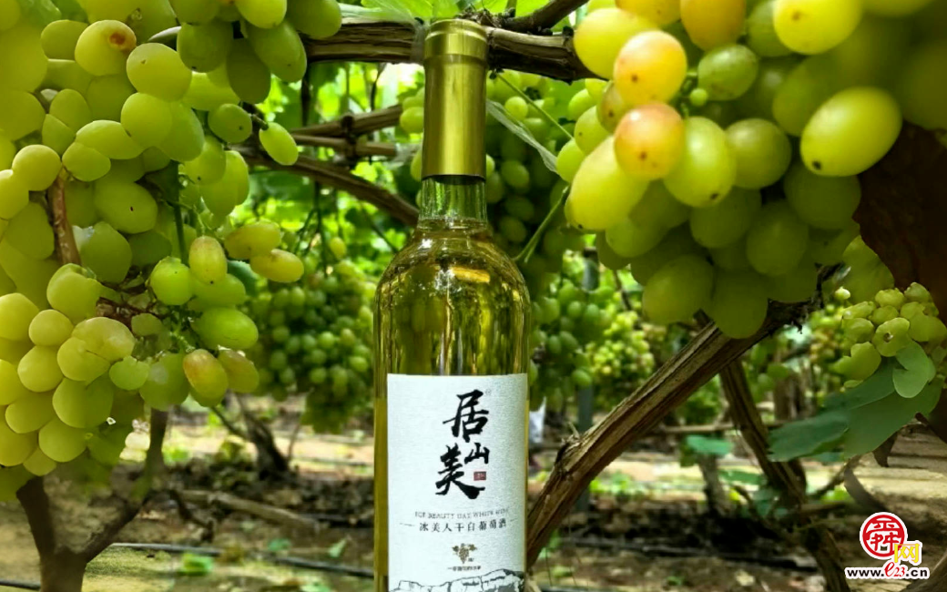 融媒·见证丨“原乡人、返乡人、新乡人”各展所长——沃野引才来