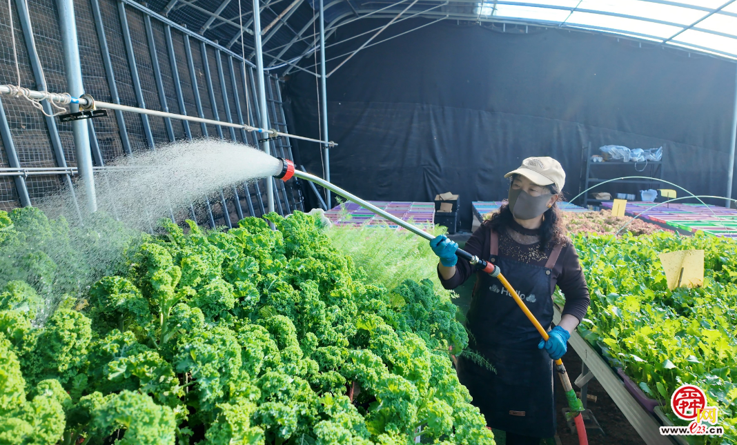 融媒·见证丨“原乡人、返乡人、新乡人”各展所长——沃野引才来
