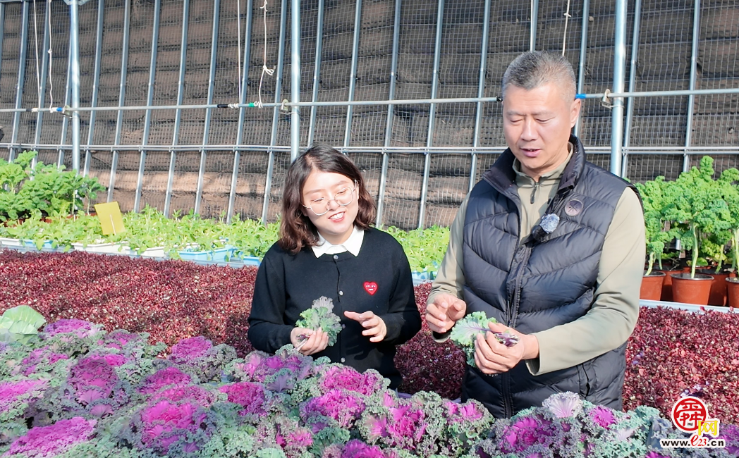 融媒·见证丨“原乡人、返乡人、新乡人”各展所长——沃野引才来