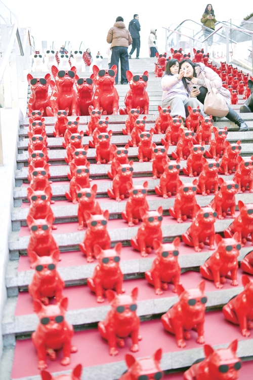 赶一场春节大集，赴一次年味之约