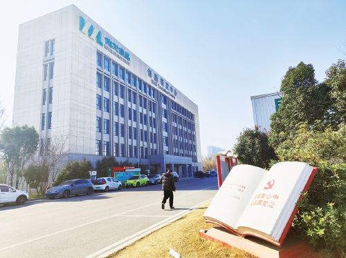 一块“老饼干”出圈背后 拼多多年货节走出“鲁味新势力”