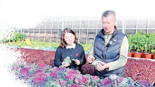 融媒·见证丨“原乡人、返乡人、新乡人”各展所长——沃野引才来