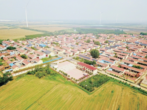 商河：沃野绘新卷 农业强县升级之路