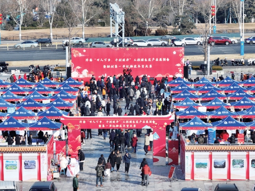 聚乡村好物，飨泉城年味 济南驻村第一书记助农年货大集开集