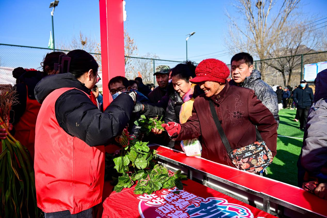 当文明遇上年味  614项活动赋能新春新时尚 济南2026新春文明实践活动暖心启幕