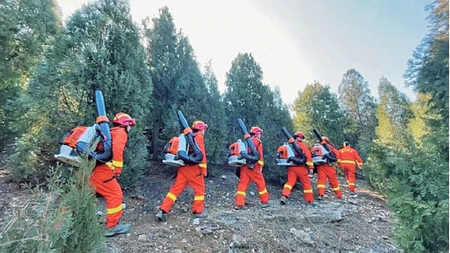 新春走基层丨“山林防火人”的春节——“平安过节就是最好的新年礼物”
