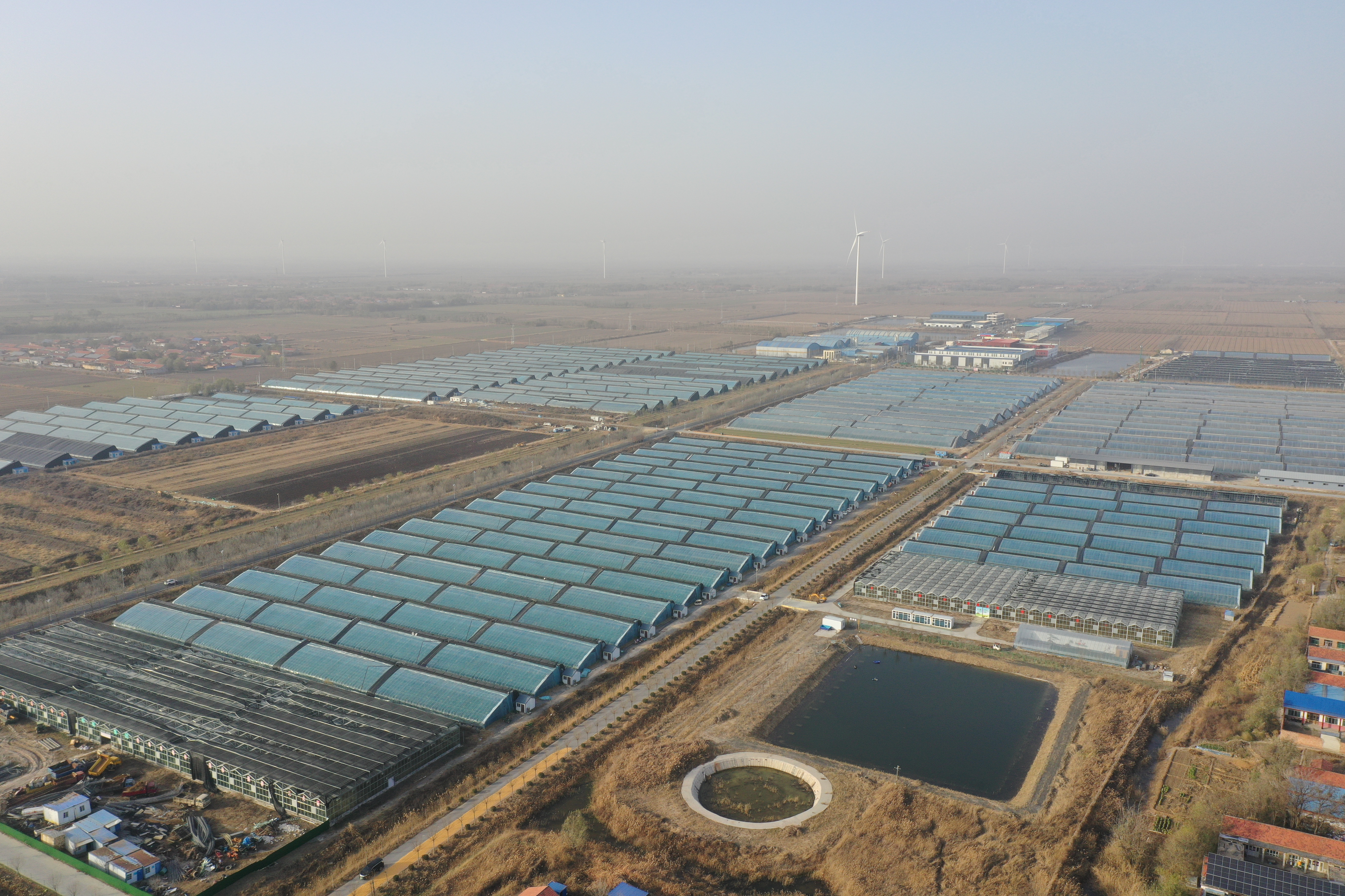 融媒·见证丨一张焦饼的新生：老手艺闯出乡村振兴新路子