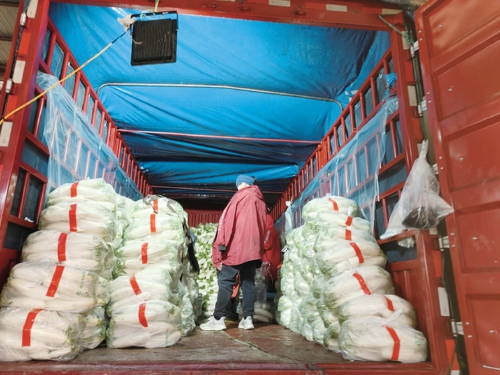 蔬菜批发市场“春意浓”,数吨鲜蔬“跃”泉城