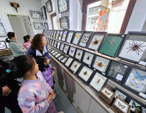 墨香蝶影织春色 黄河岸畔起新居