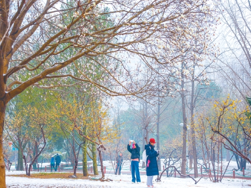 济南市发布大雾橙色预警 明天夜间小雨雪又来临