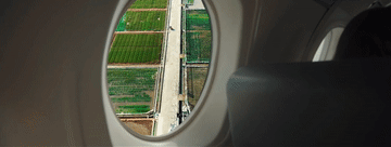 微视频｜总书记心中的头等大事