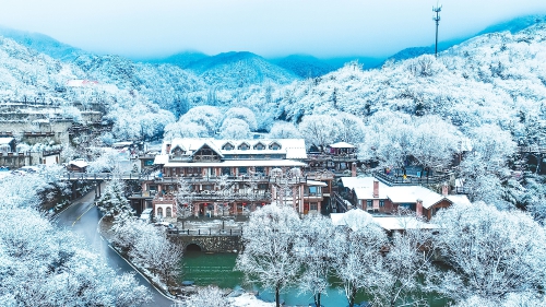 雪落泉城 景致万千