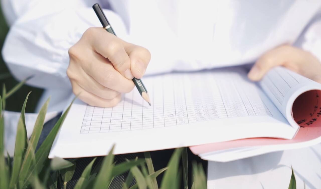 春管关键期 小麦“喝饱”了