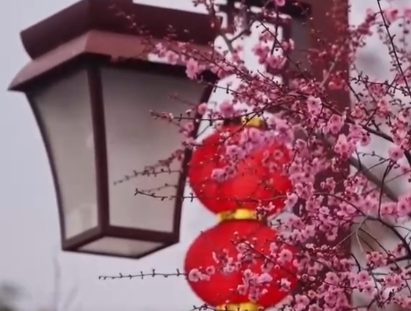 各地春日文旅持续升温 “赏花流量”转化为“消费留量”