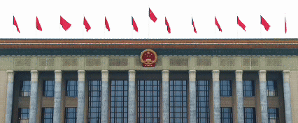 微视频｜总书记和代表委员共议关切事