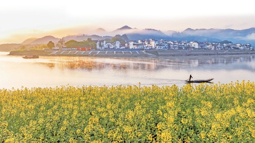 守护美丽家园！生态环境法典草案6大看点扫描