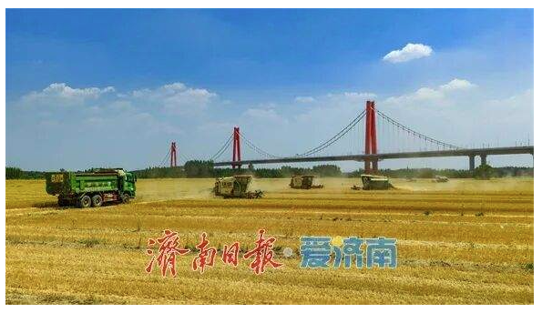 开局“十五五” 奋斗正当时·干事创业 担当尽责｜泉城沃野千重浪 振兴图景入画来 济南市农业农村局奋力书写2026年乡村全面振兴新篇章