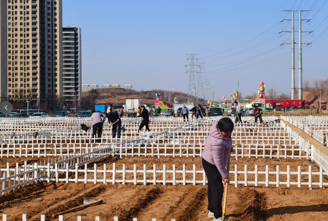济南“共享菜地”火出圈!9天租出近200块地,网友:现实版开心农场