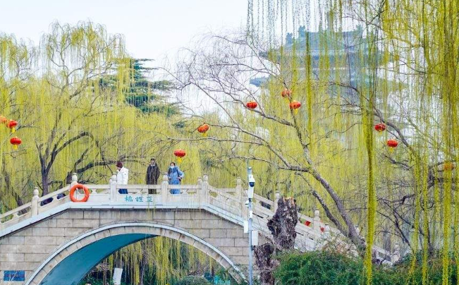大范围雨雪降温来了！鲁西北有小雨或雨夹雪，周五济南最低温降至3℃