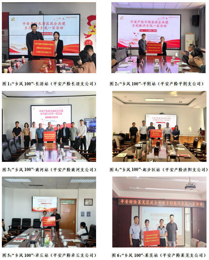 平安产险济南中心支公司“政企共建”助力乡村振兴