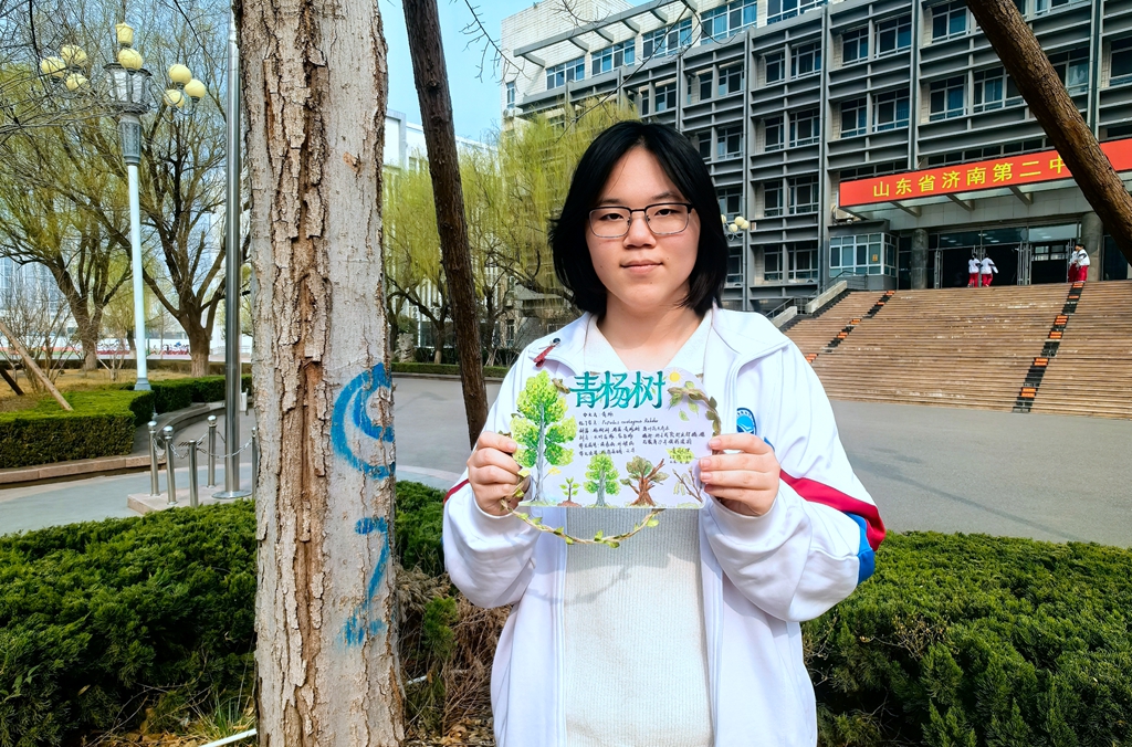 树承初心 绿润二中 济南二中2025级开展树木认养挂牌活动