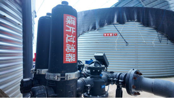 融媒·见证丨偏远小山村引进高标准蓝莓产业园——荒山坡上展“蓝”图