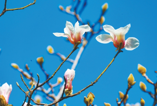 这份“春日健康提醒”请收好