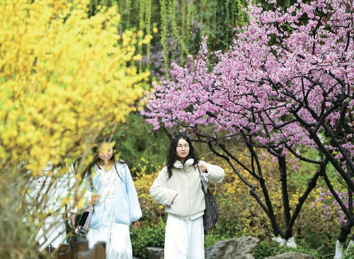 泉畔春色绘新图