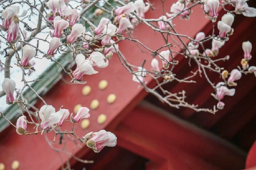 今晚济南北部地区有小雨，明天最高气温将达21℃左右