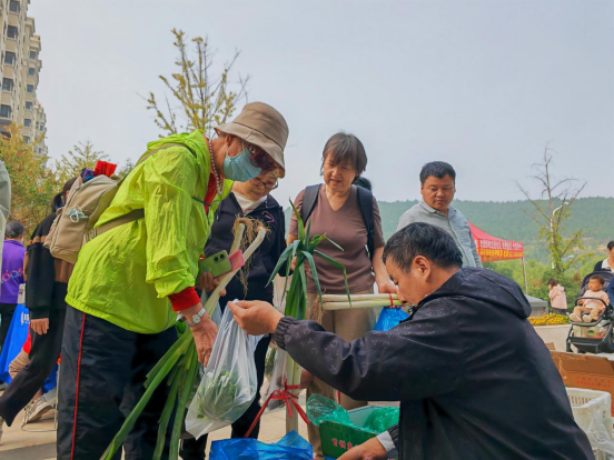 民生民声丨“春日经济”，“长”在田间地头：菜里寻“春”