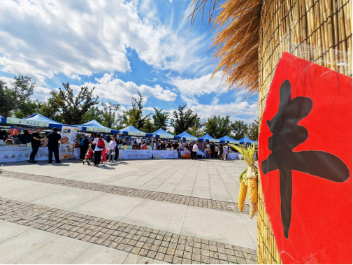 民生民声丨“春日经济”，“长”在田间地头：菜里寻“春”