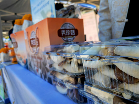 民生民声丨“春日经济”，“长”在田间地头：菜里寻“春”