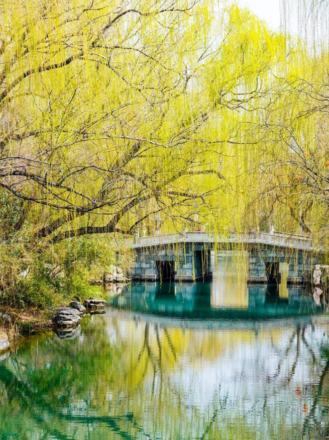 未来7天以多云到晴为主 今天最高气温20℃，阵风可达6至7级