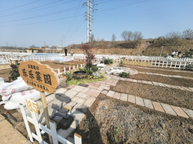 204块小菜地一经推出便全部租罄交付 济南“共享菜地”火出圈 