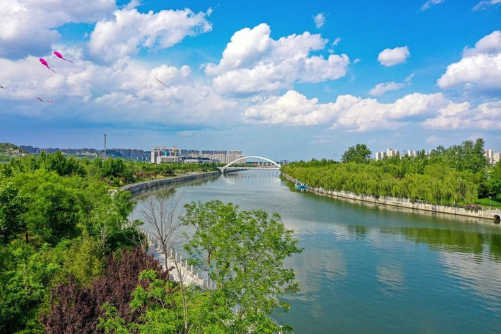 山东拟立法规范地震群测群防 一旦发现动植物气象等疑似地震异象须立即上报