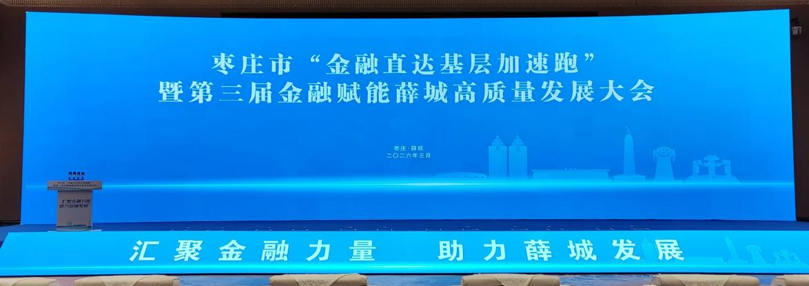 平安产险薛城支公司荣获“2025年度薛城区金融服务实体经济先进集体”