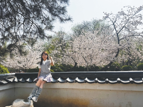 济南：樱云杏雪千重韵 李艳梅香一城春