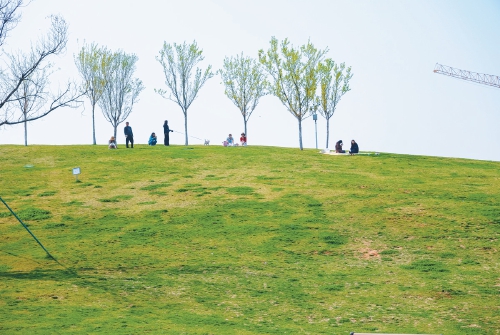 济南：樱云杏雪千重韵 李艳梅香一城春