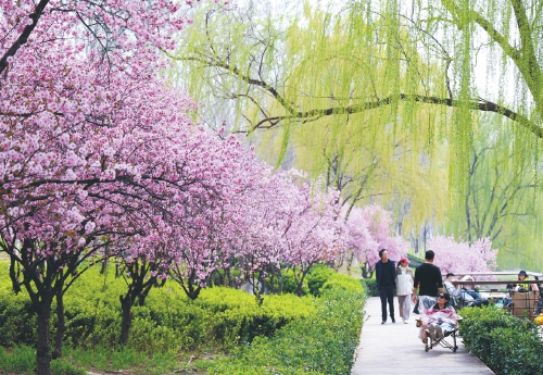 一河春水一城花 半日闲情半日茶