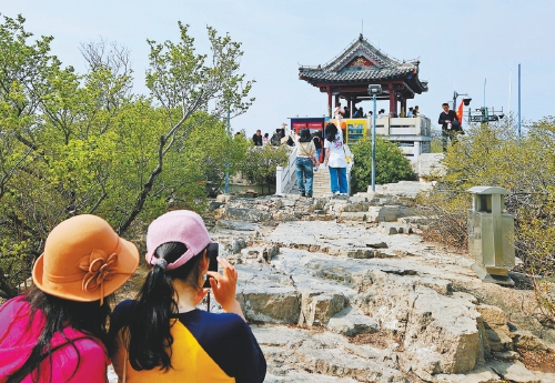 一河春水一城花 半日闲情半日茶