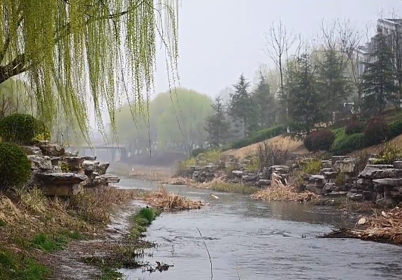 预报济南本周气温波动较大 最低4～7℃，最高26℃