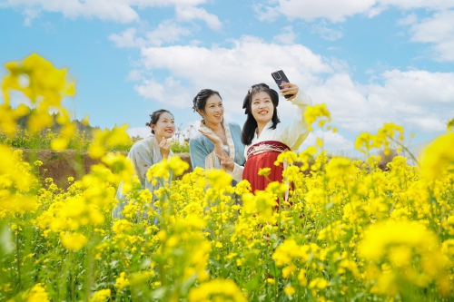 长清区双泉镇“以花为媒”奏响乡村振兴新乐章