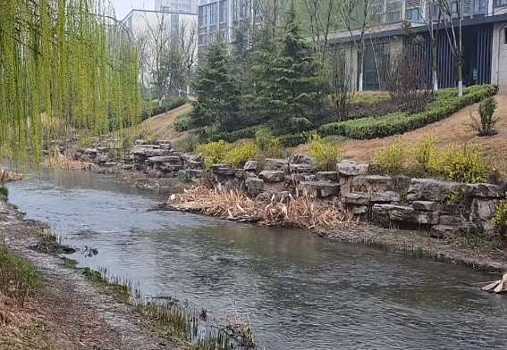 清明假期前后济南天气多变 4月1日、3日将迎两次降雨