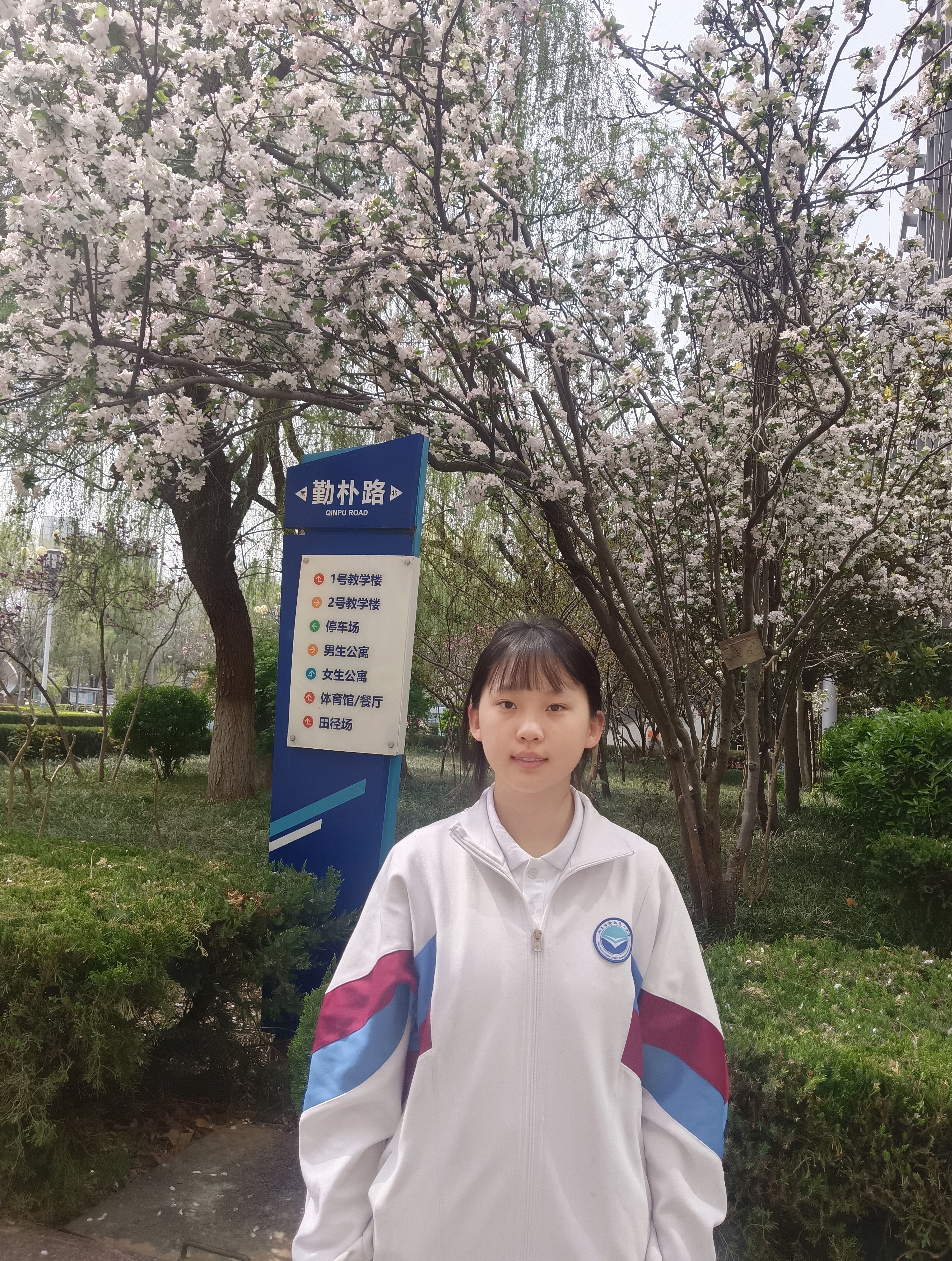 研思回响|少年探路,以思逐光赴新程