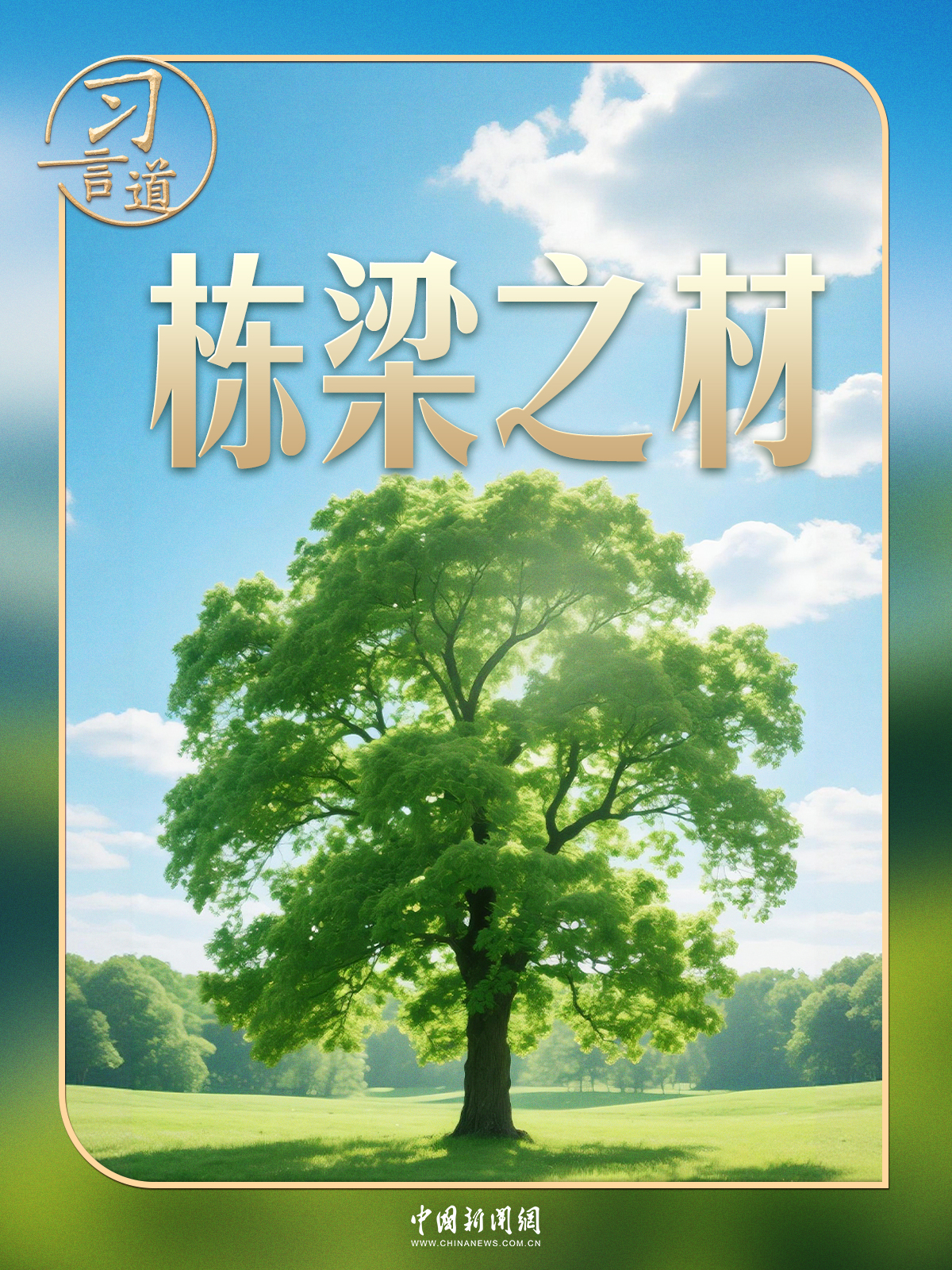 习言道｜习近平种下“栋梁之材”