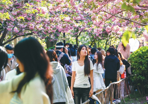 清明假期首日游客出游热情高涨 全市30家重点景区接待游客39.1万人次
