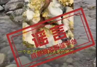 都江堰金马河现800克狗头金？真相揭晓