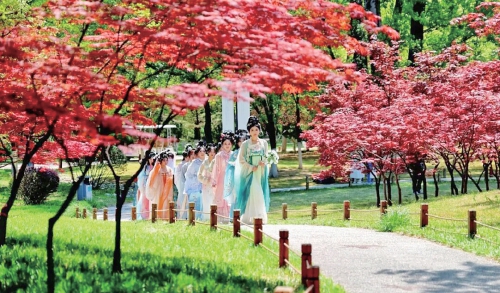 济南赏花经济绽放文旅新活力